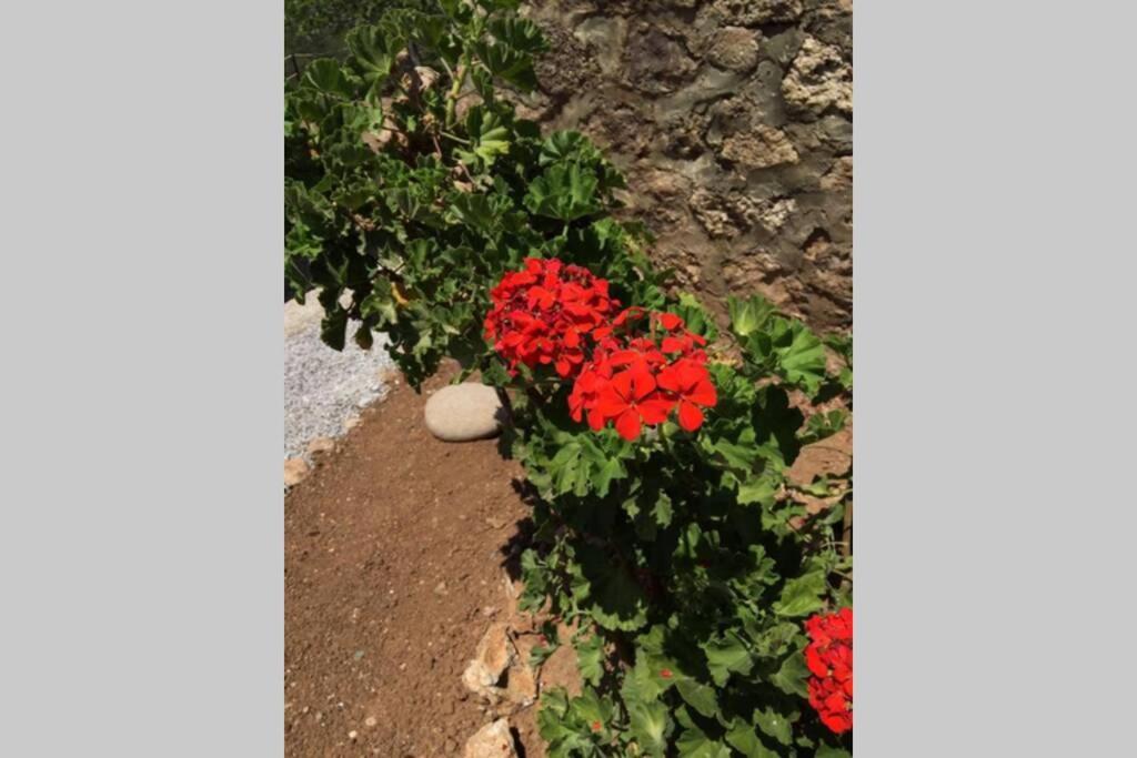 Gerani Maison Agios Aimilianos Beautiful View Porto Heli Zewnętrze zdjęcie